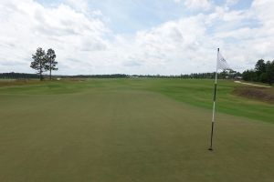 Old Barnwell 3rd Back